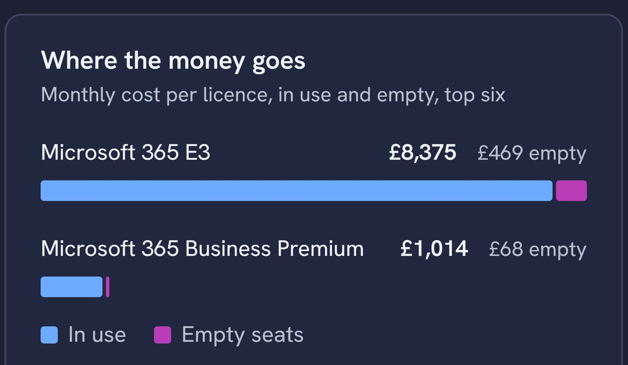 EtherInsights Licences, Where the money goes: E3 £8,375 (£469 empty) and Business Premium £1,014 (£68 empty), seats in use and empty seats. Sample data.